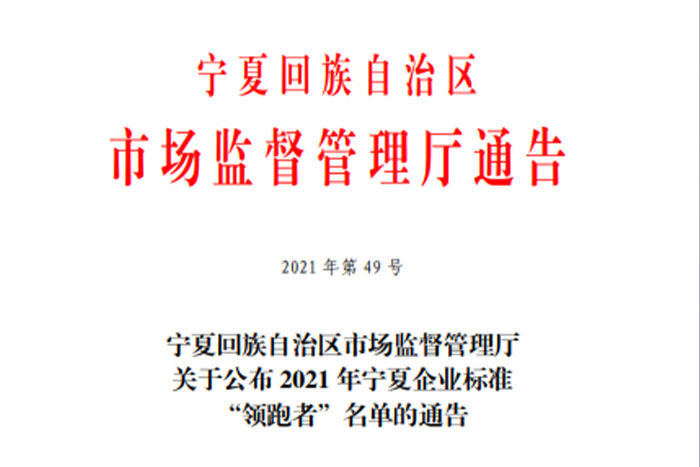 【榮譽】巨能《GS系列桁架機器人》企業(yè)標準入選2021年寧夏企業(yè)標準&ldquo;領跑者&rdquo;名單